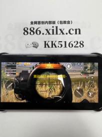 黄鹂鸟辅助器暗区突围-深入探究！暗区突围黄鹂鸟辅助器危害及应对办法